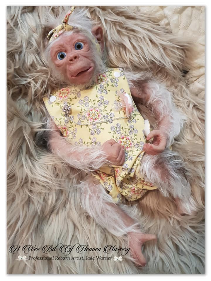 Hillary Full Body Silicone Baby Chimpanzee