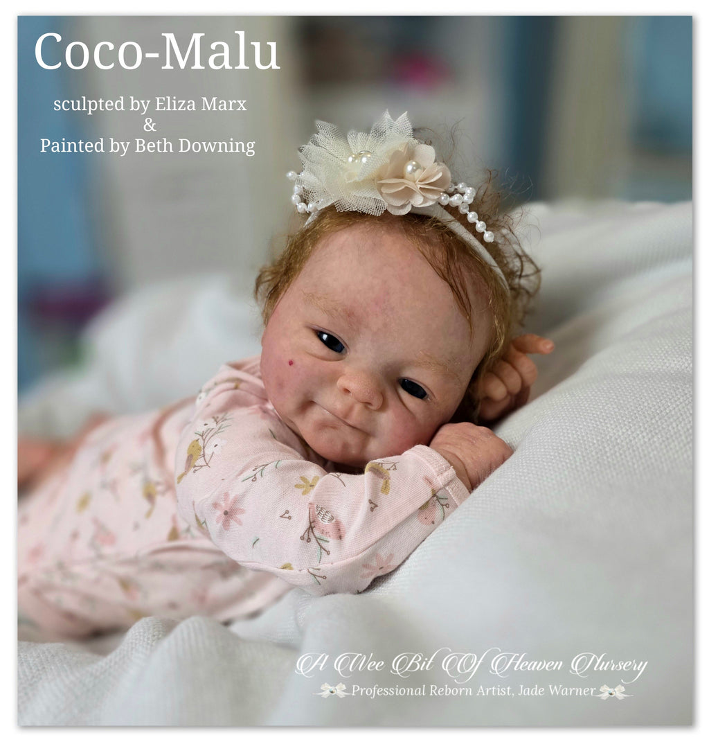 Coco-Malu Vinyl Reborn Baby Girl Available
