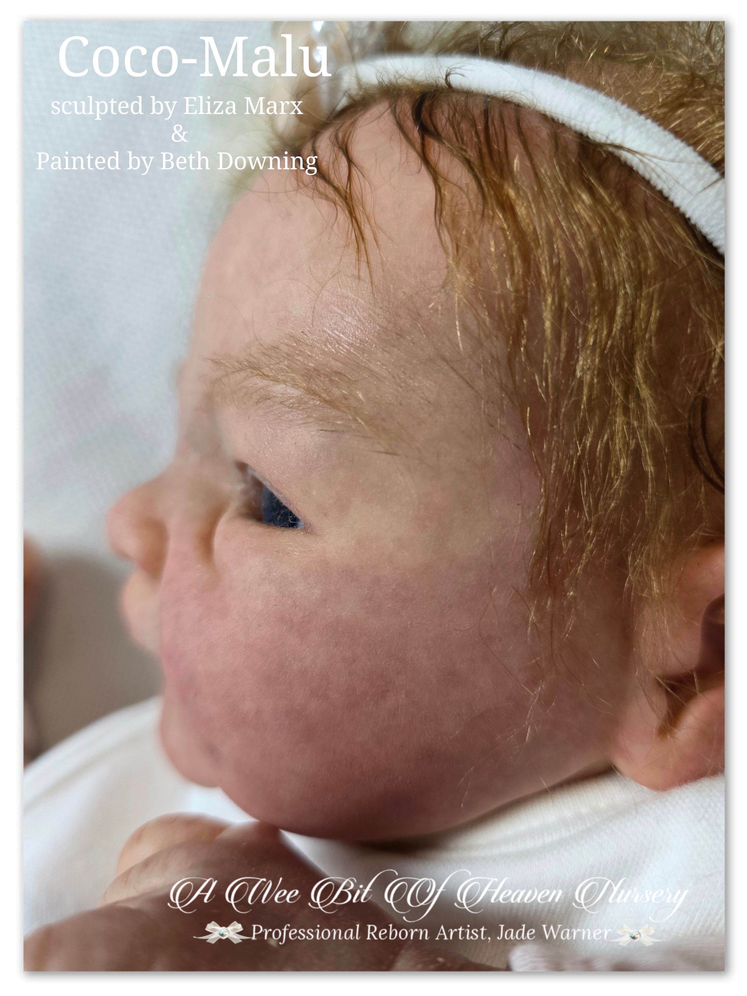 Coco-Malu Vinyl Reborn Baby Girl Available