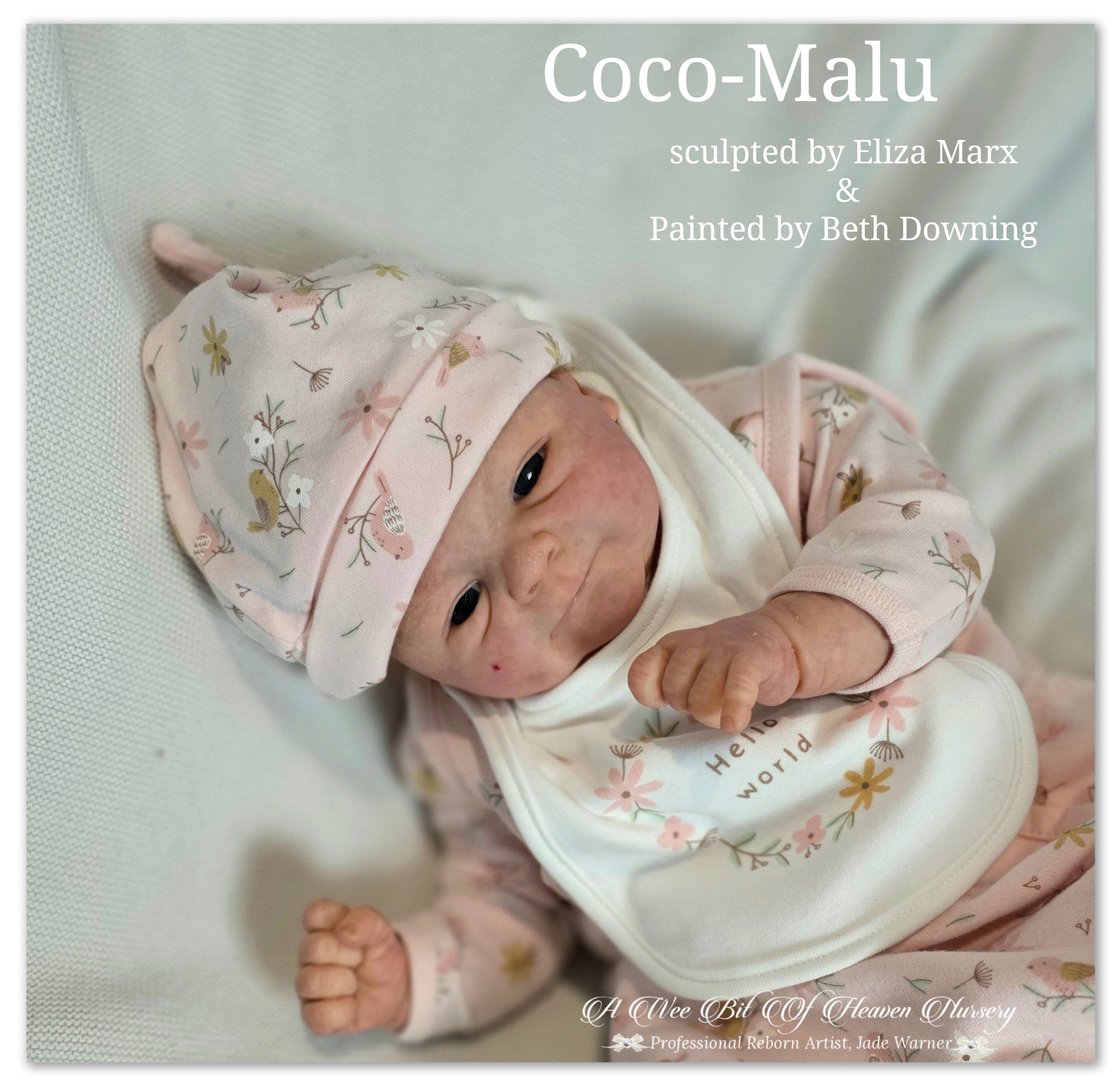 Coco-Malu Vinyl Reborn Baby Girl Available