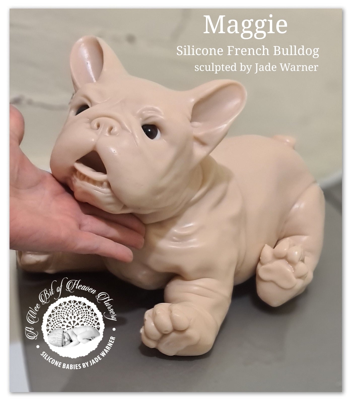 Maggie Full Body Silicone French Bulldog By Jade Warner*Deposit Only*