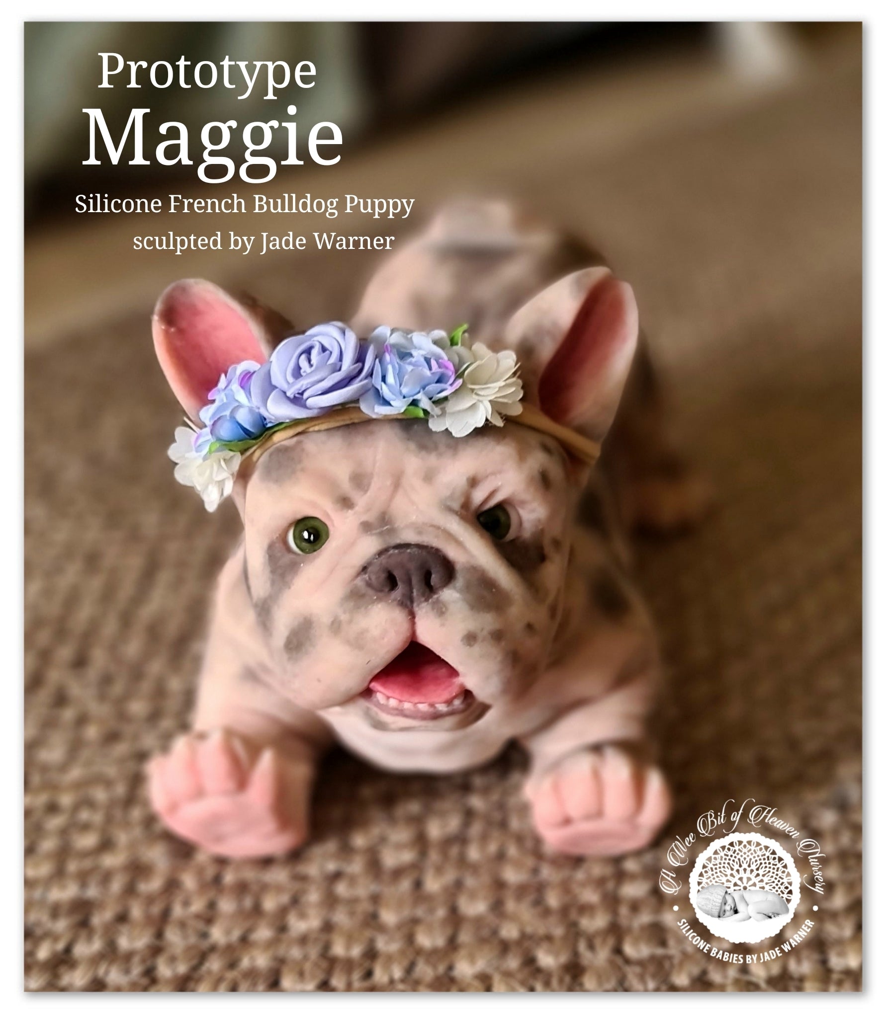 Maggie Full Body Silicone French Bulldog By Jade Warner*Deposit Only*