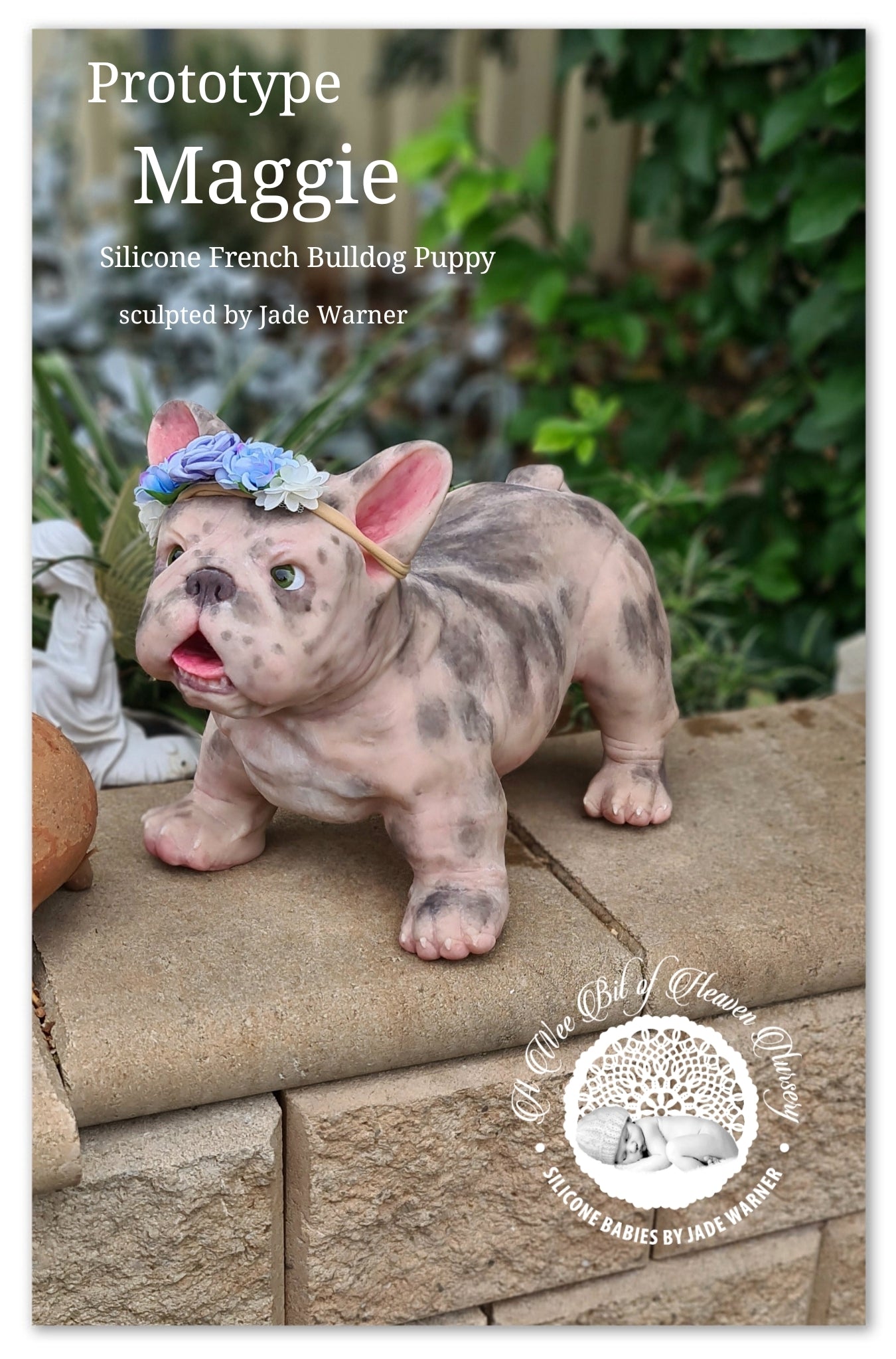Maggie Full Body Silicone French Bulldog By Jade Warner*Deposit Only*