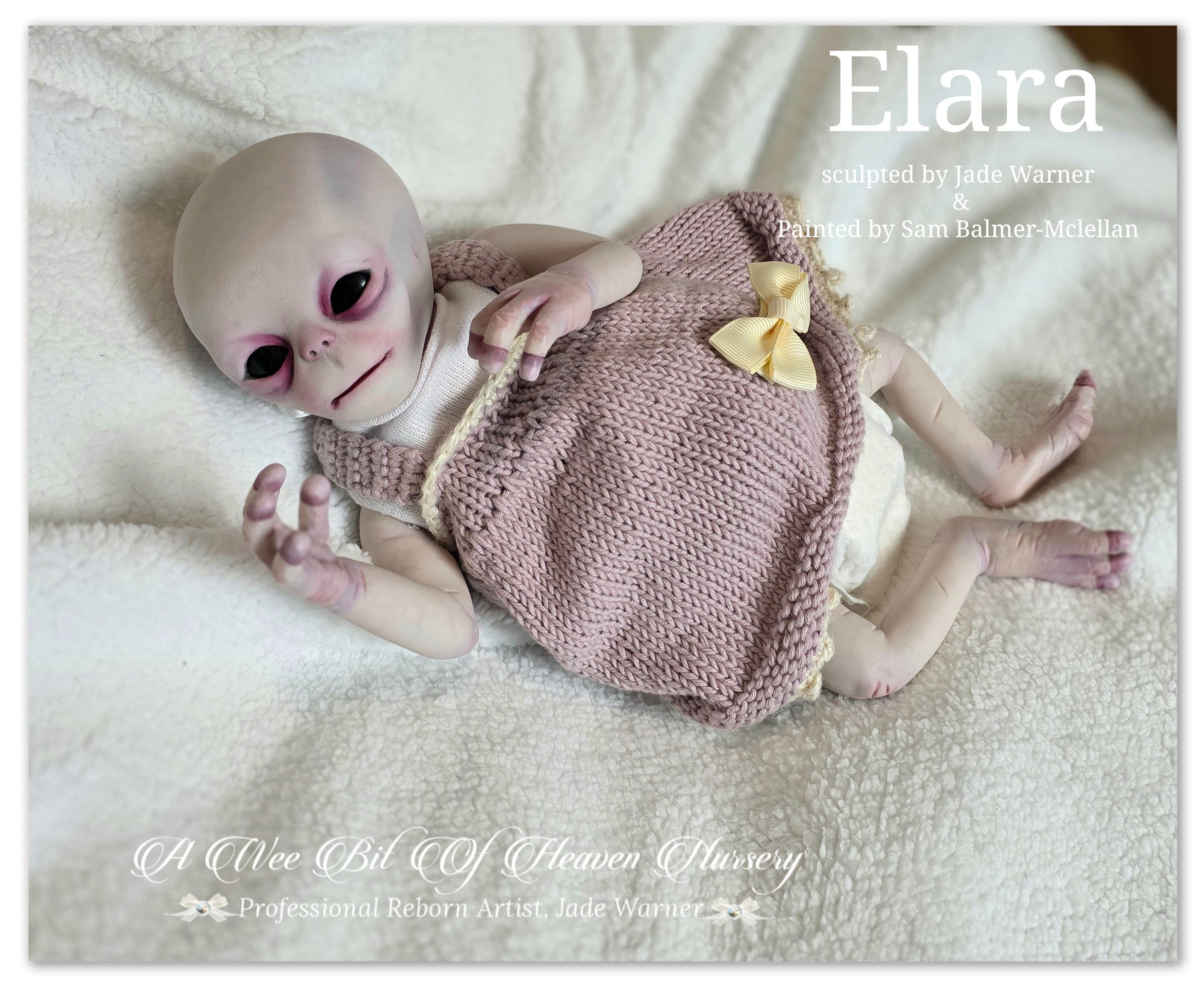 Elara Vinyl Reborn Baby Girl Available