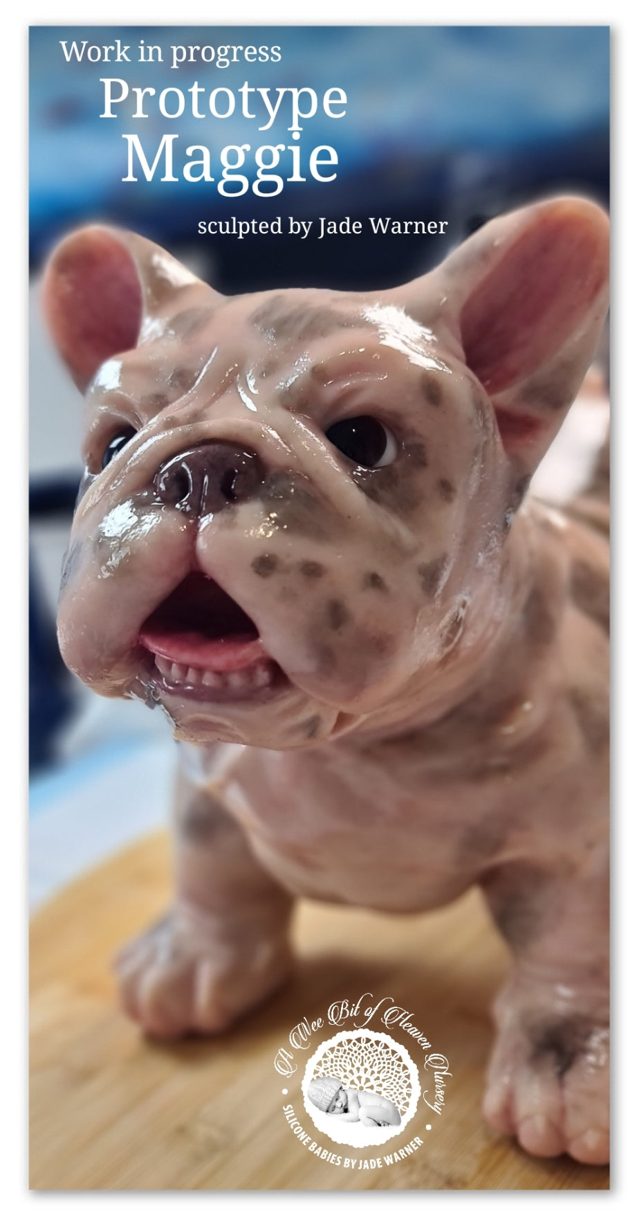 Maggie Full Body Silicone French Bulldog By Jade Warner*Deposit Only*