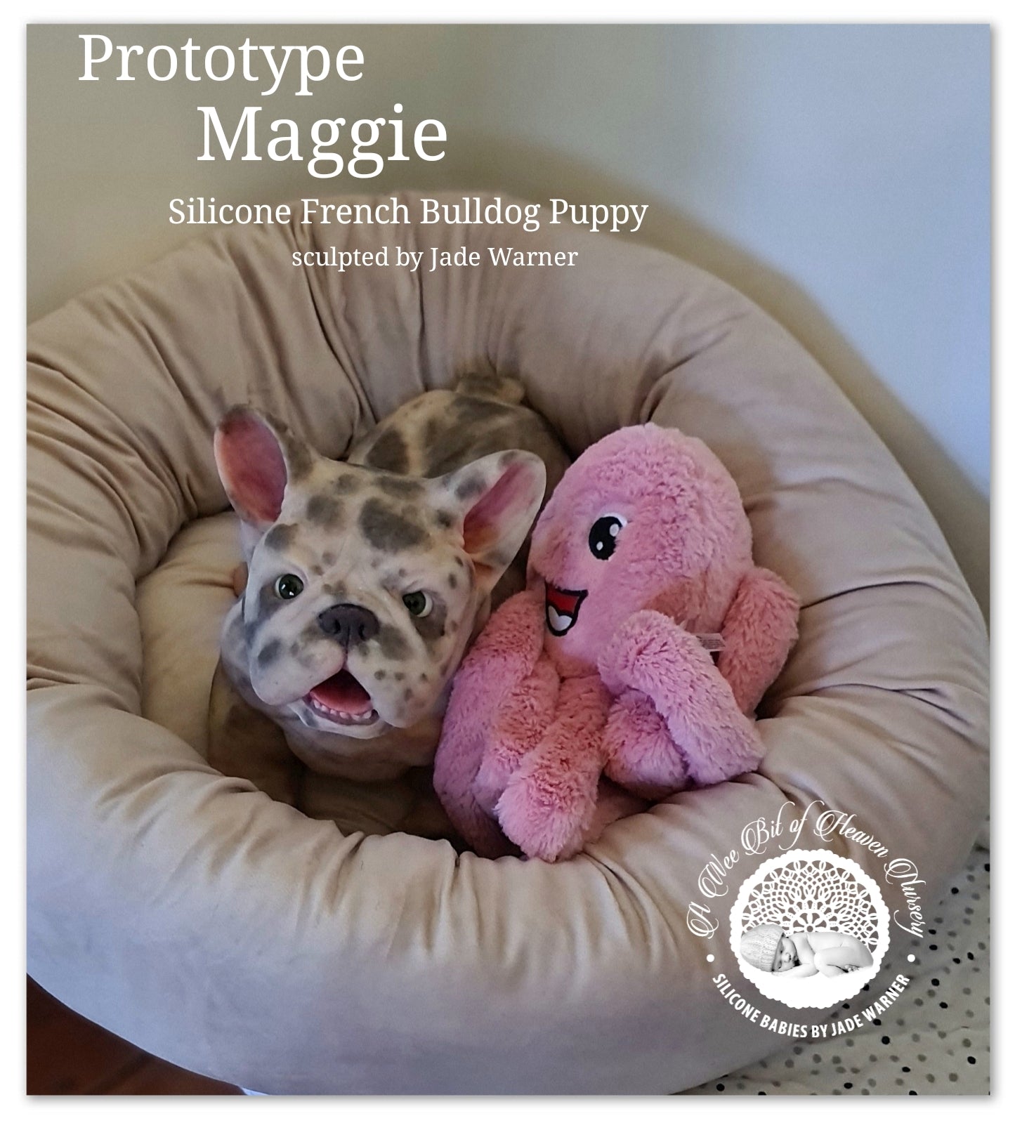 Maggie Full Body Silicone French Bulldog By Jade Warner*Deposit Only*