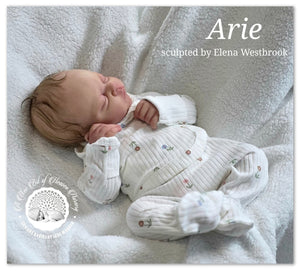 Arie Full Body Silicone Baby Girl  Available