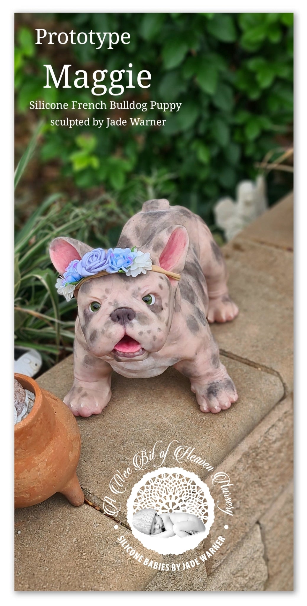 Maggie Full Body Silicone French Bulldog By Jade Warner*Deposit Only*