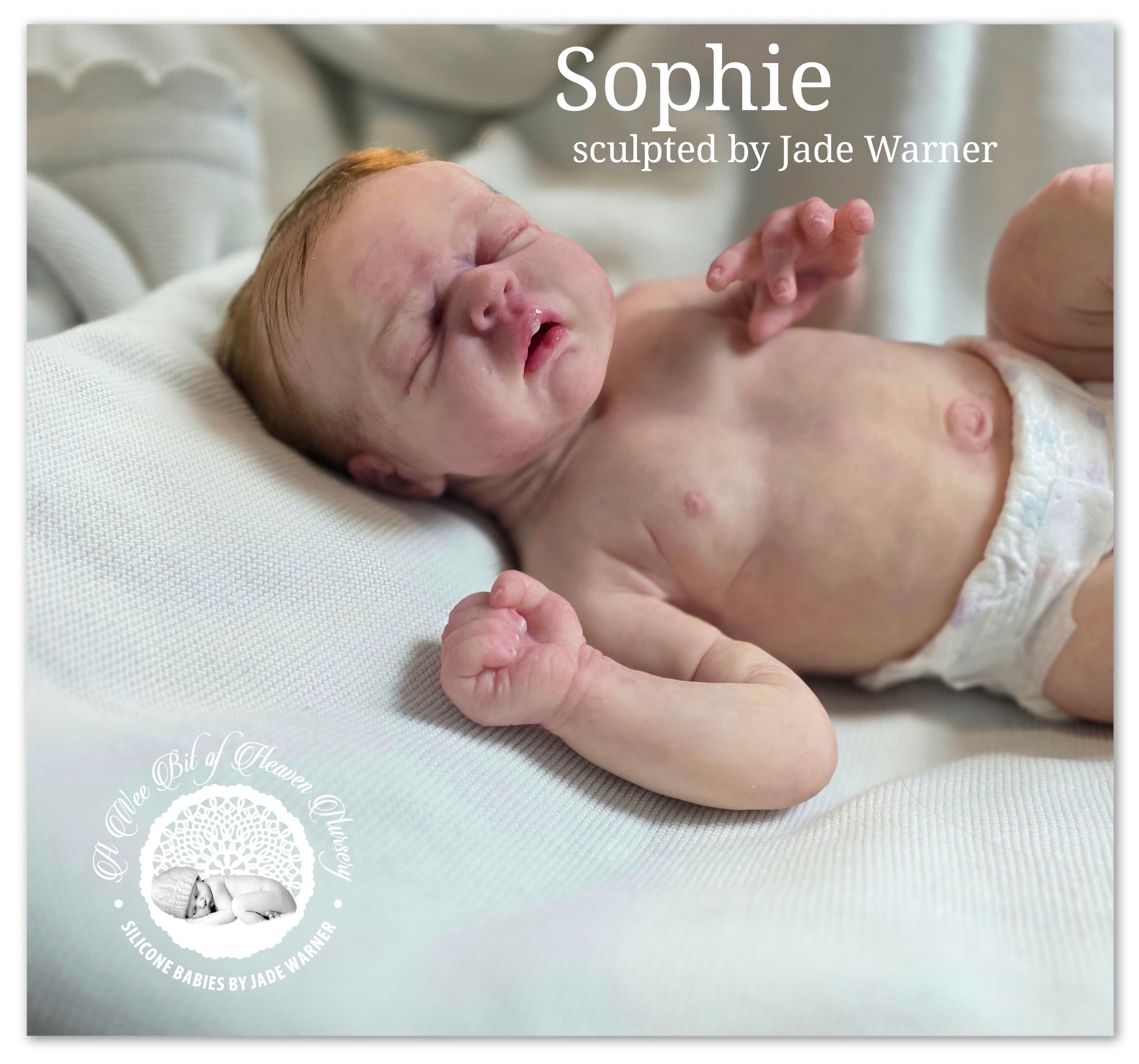 Prototype * Full Body Silicone Baby Girl  Available