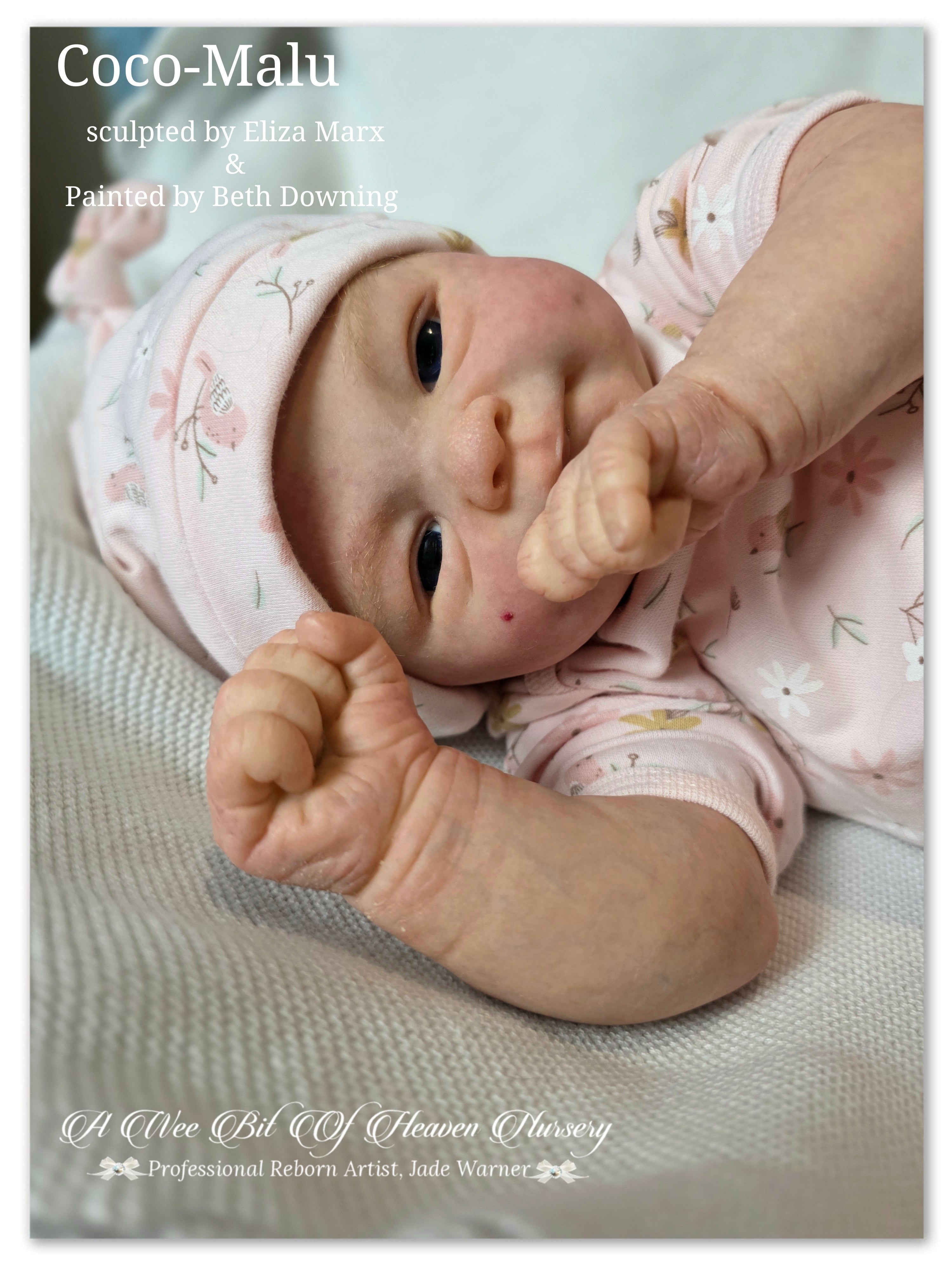 Coco-Malu Vinyl Reborn Baby Girl Available