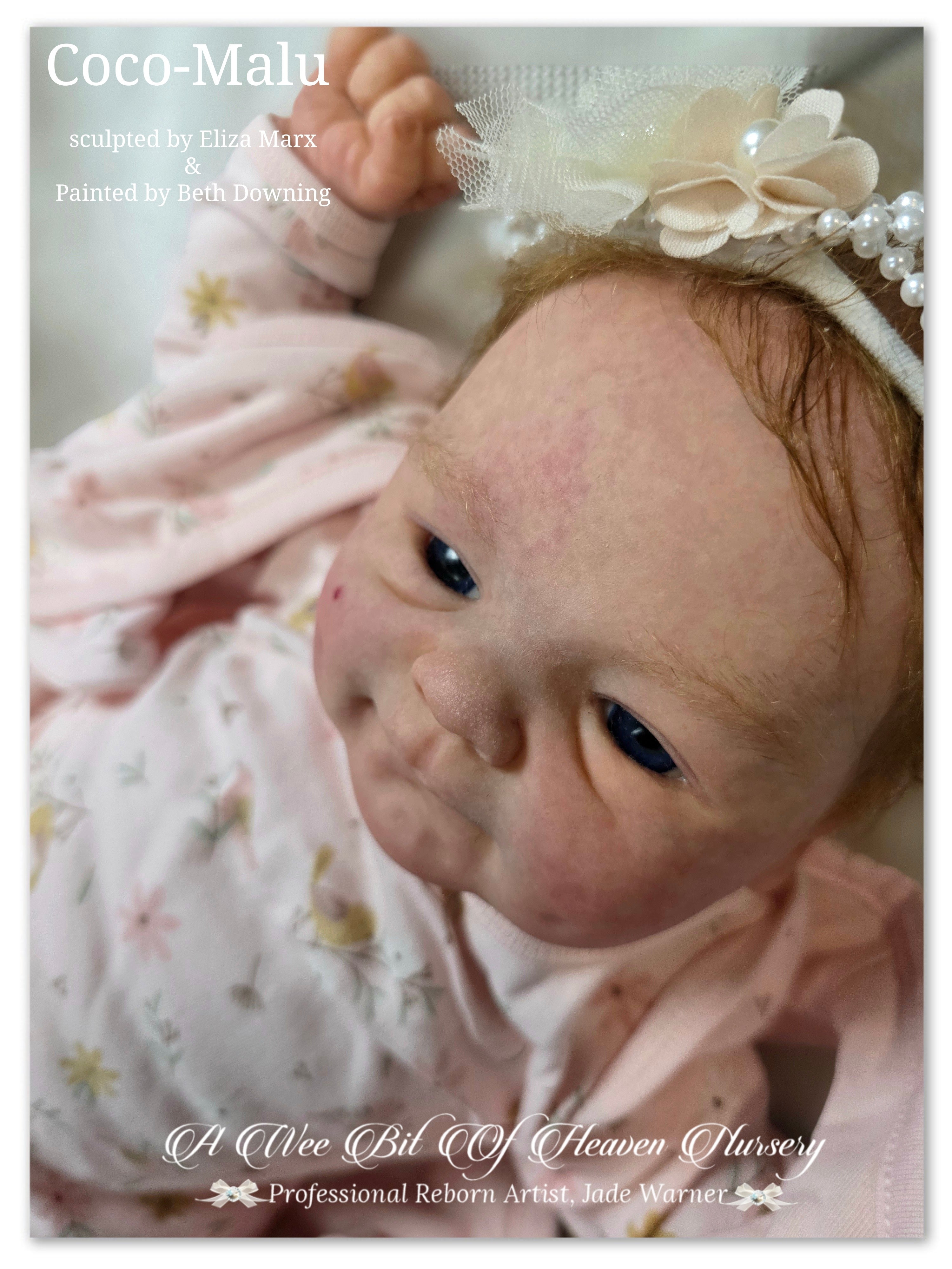 Coco-Malu Vinyl Reborn Baby Girl Available