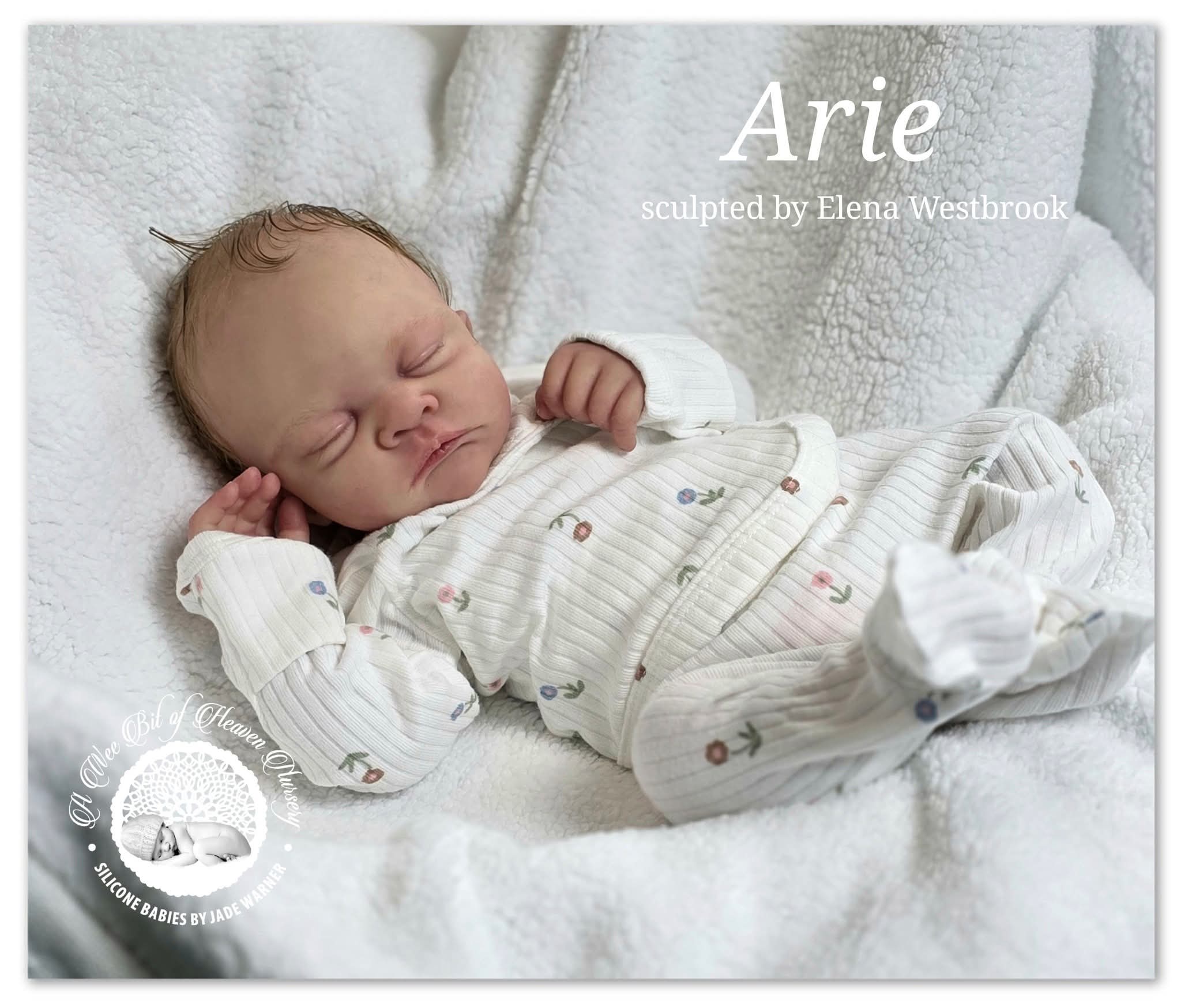 Arie Full Body Silicone Baby Girl  Available