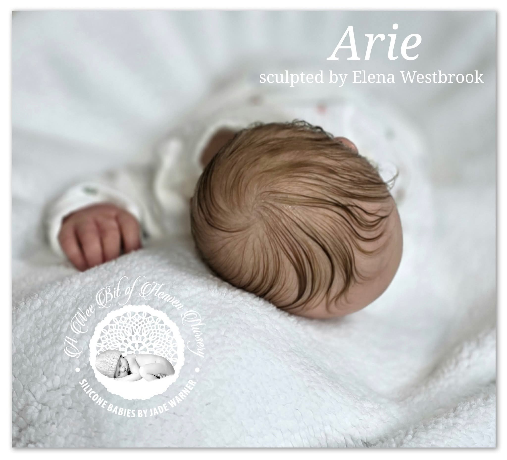 Arie Full Body Silicone Baby Girl  Available