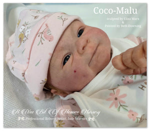 Coco-Malu Vinyl Reborn Baby Girl Available