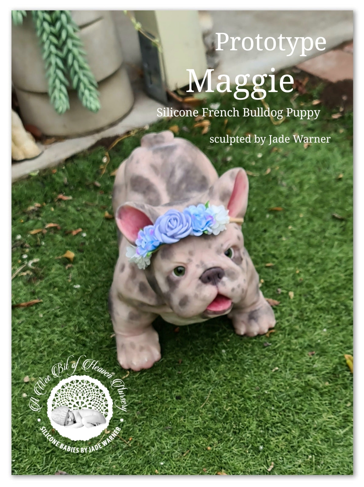 Maggie Full Body Silicone French Bulldog By Jade Warner*Deposit Only*