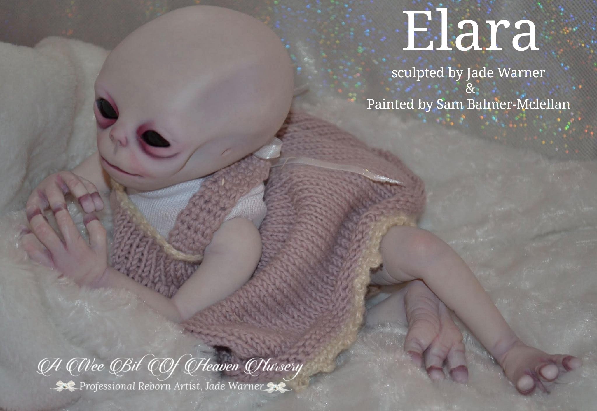 Elara Vinyl Reborn Baby Girl Available