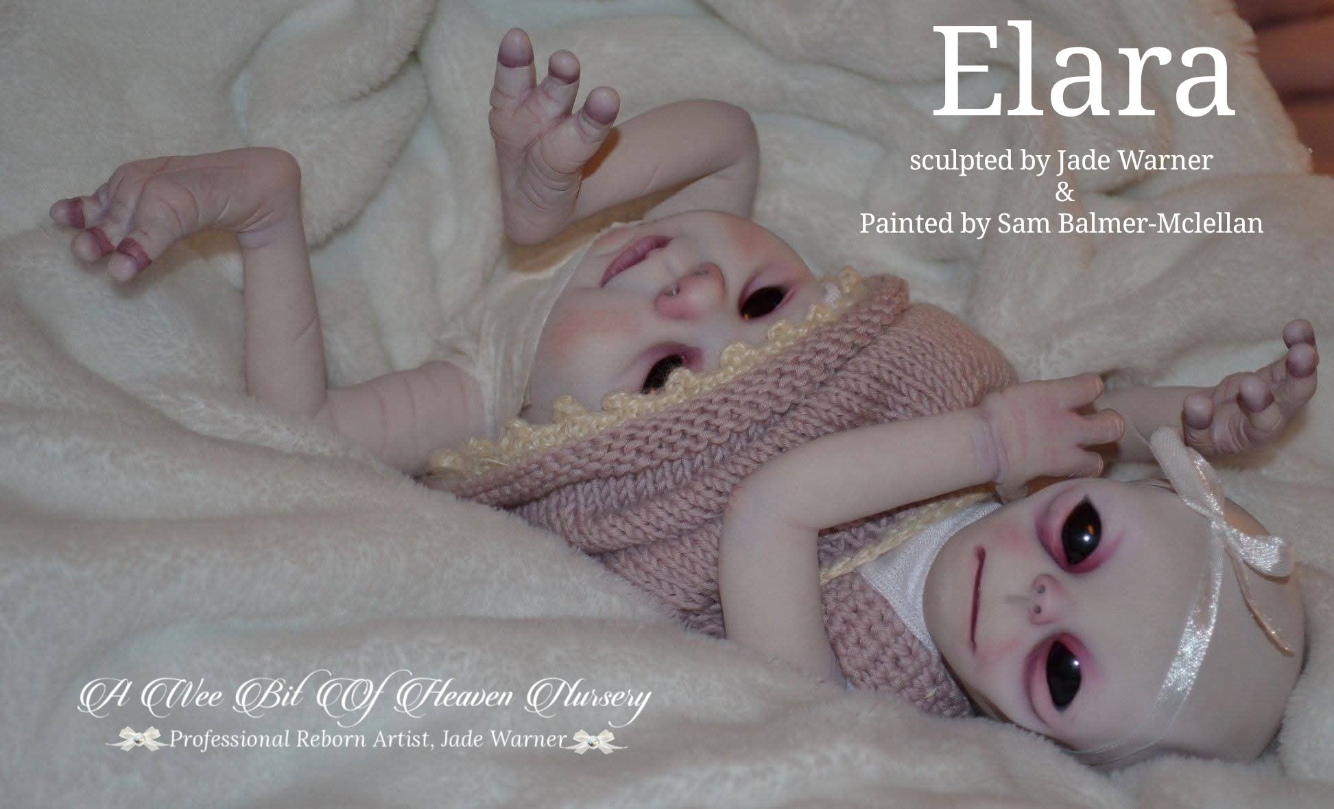 Elara Vinyl Reborn Baby Girl Available