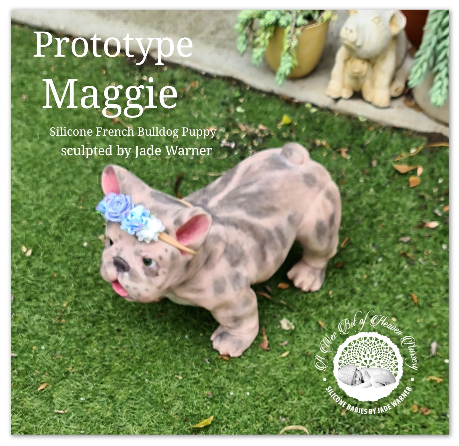 Maggie Full Body Silicone French Bulldog By Jade Warner*Deposit Only*