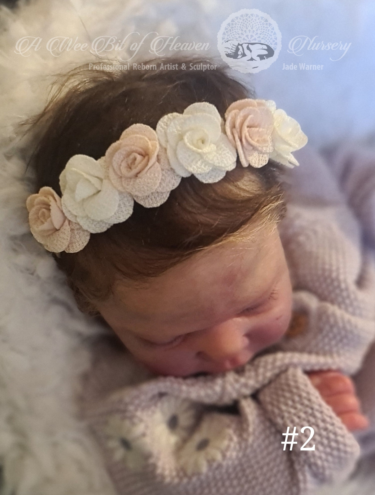 Baby Headband #2