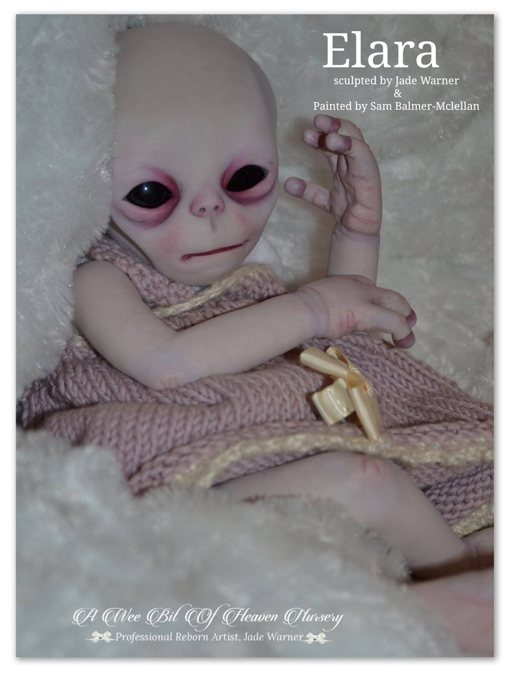 Elara Vinyl Reborn Baby Girl Available