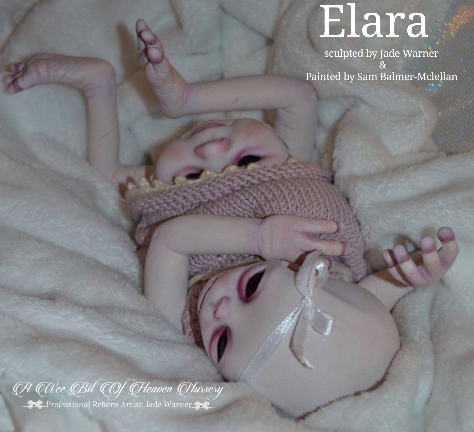 Elara Vinyl Reborn Baby Girl Available