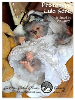 Lula Kane vinyl Hybrid kit sculpted by Joe Bailey