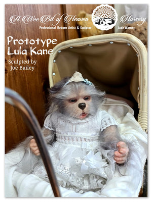 Lula Kane vinyl Hybrid kit sculpted by Joe Bailey