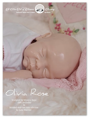 Olivia Rose  Silicone Baby Sculpted by Monica Kaye (MK.ArtDolls)