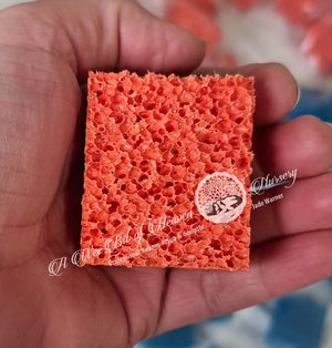 Orange Stipple Sponge