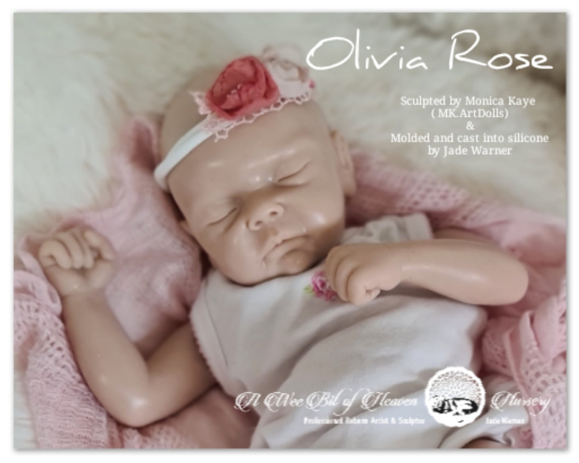 Olivia Rose  Silicone Baby Sculpted by Monica Kaye (MK.ArtDolls)