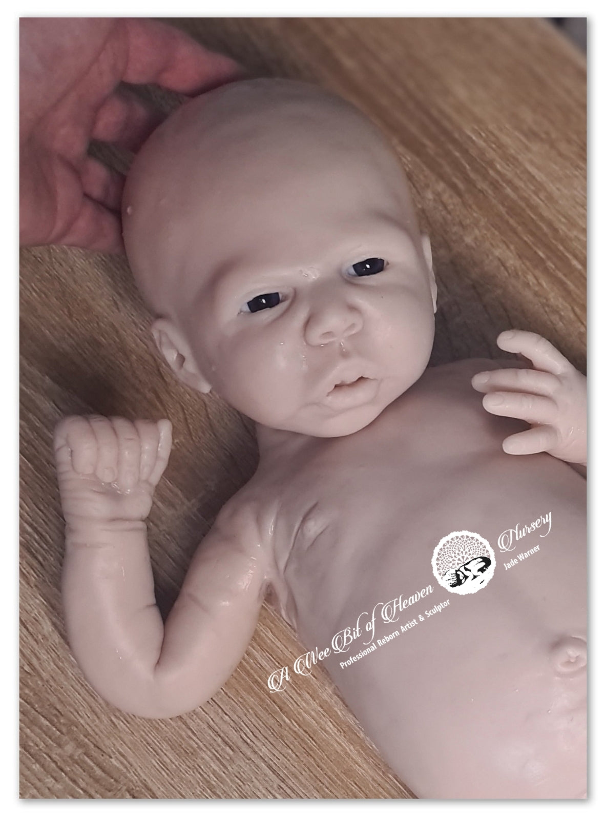 Ashton Full Body Silicone Baby by Jade Warner - Deposit Only