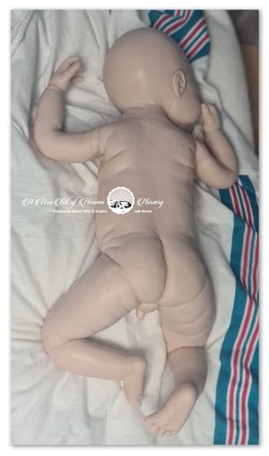 Ashton Full Body Silicone Baby by Jade Warner - Deposit Only