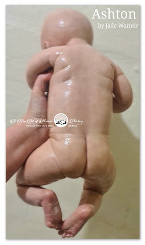 Ashton Full Body Silicone Baby by Jade Warner - Deposit Only
