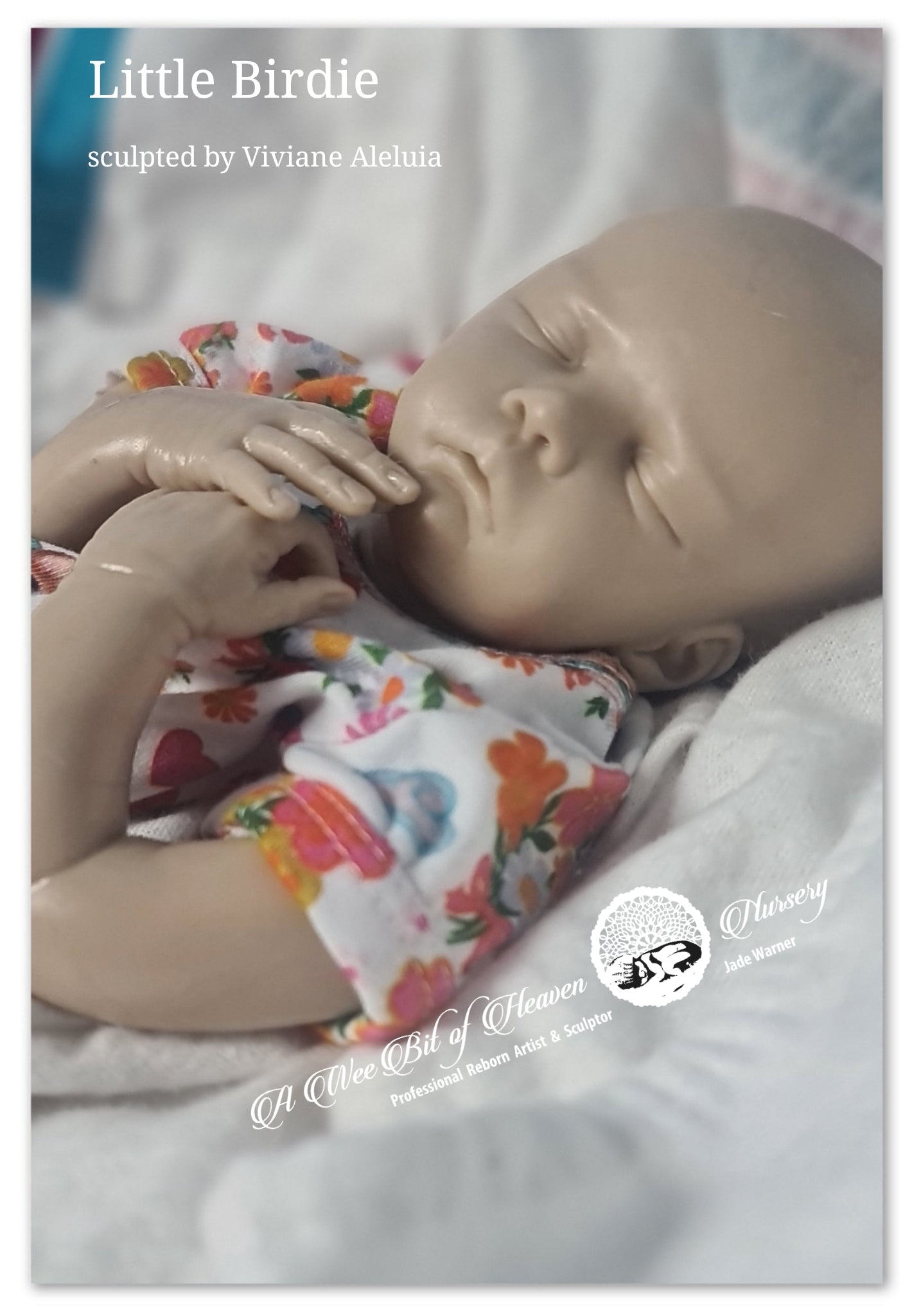 Little Birdie Silicone Un-Painted Kit Sculpted by Viviane Aleluia