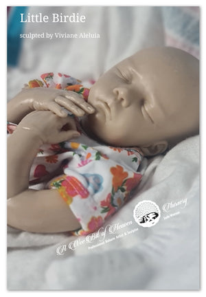 Little Birdie Silicone Un-Painted Kit Sculpted by Viviane Aleluia
