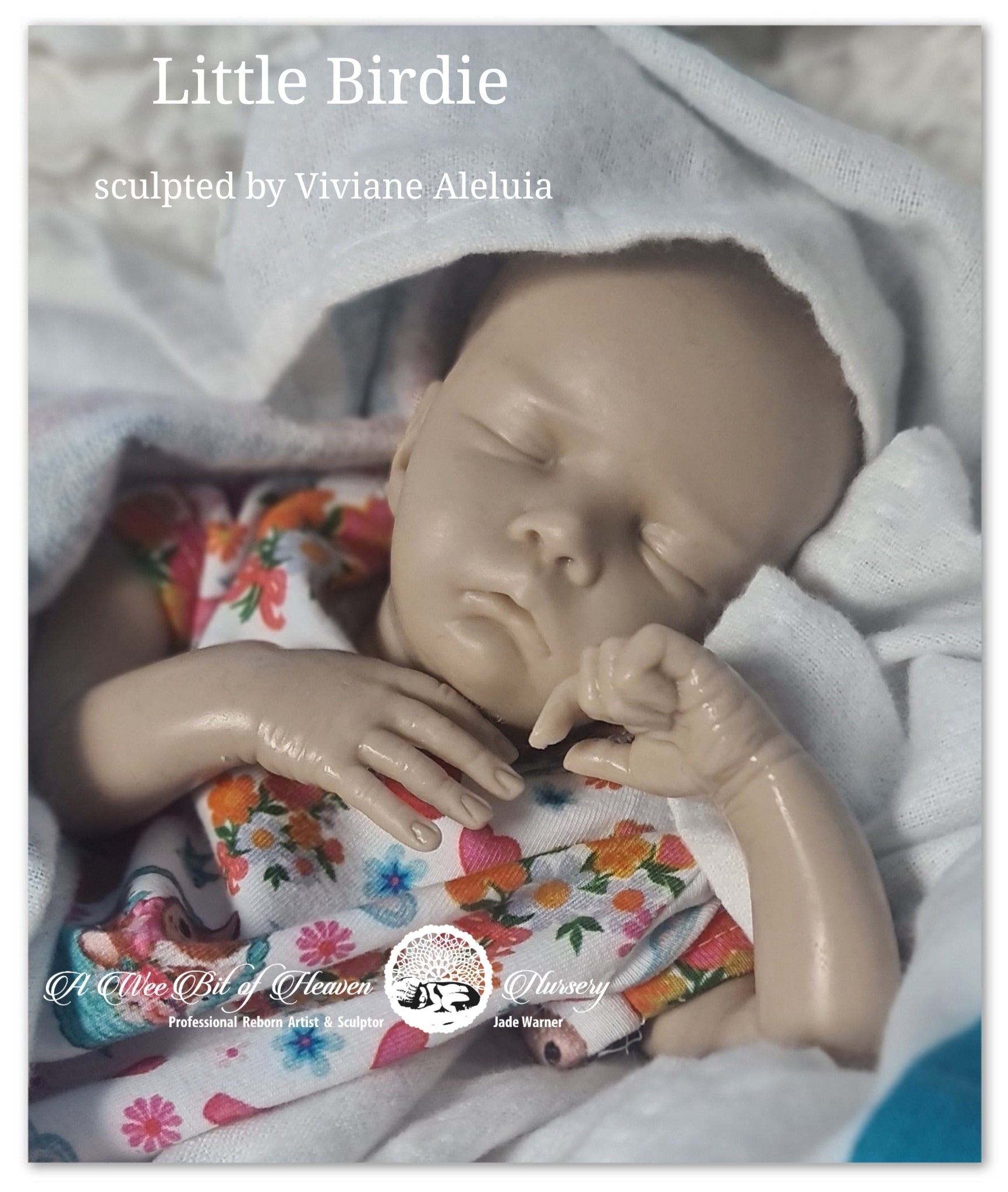 Little Birdie Silicone Un-Painted Kit Sculpted by Viviane Aleluia