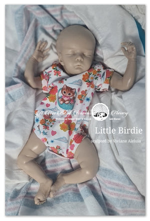 Little Birdie Silicone Un-Painted Kit Sculpted by Viviane Aleluia