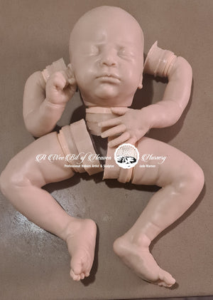 Jaydan by Natalie Scholl Silicone Kit