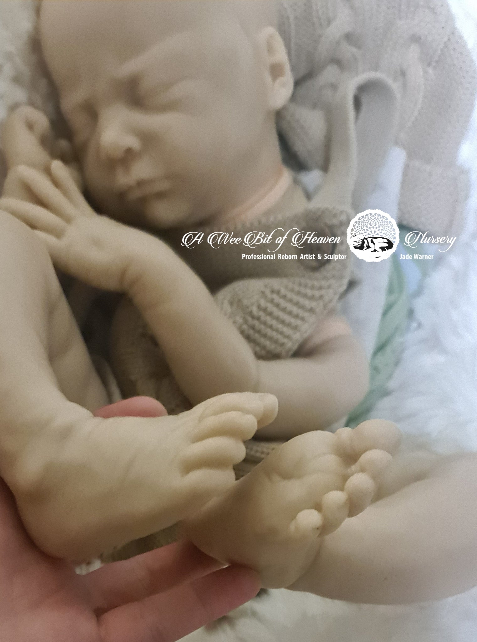 Jaydan by Natalie Scholl Silicone Kit