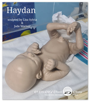 Haydan Full Body Silicone Baby by Lisa Sylvia & Jade Warner *DEPOSIT ONLY*