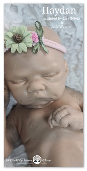 Haydan Full Body Silicone Baby by Lisa Sylvia & Jade Warner *DEPOSIT ONLY*