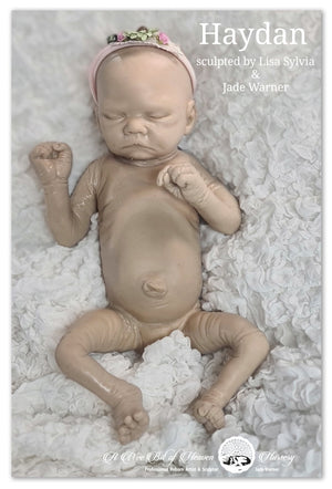 Haydan Full Body Silicone Baby by Lisa Sylvia & Jade Warner *DEPOSIT ONLY*