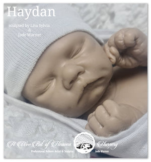 Haydan Full Body Silicone Baby by Lisa Sylvia & Jade Warner *DEPOSIT ONLY*