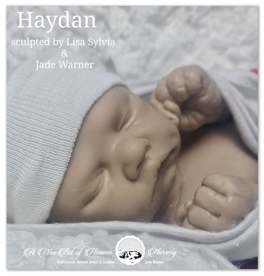 Haydan sculpted  by Lisa Sylvia & Jade Warner custom order