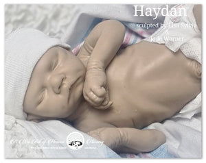 Haydan Full Body Silicone Baby by Lisa Sylvia & Jade Warner *DEPOSIT ONLY*