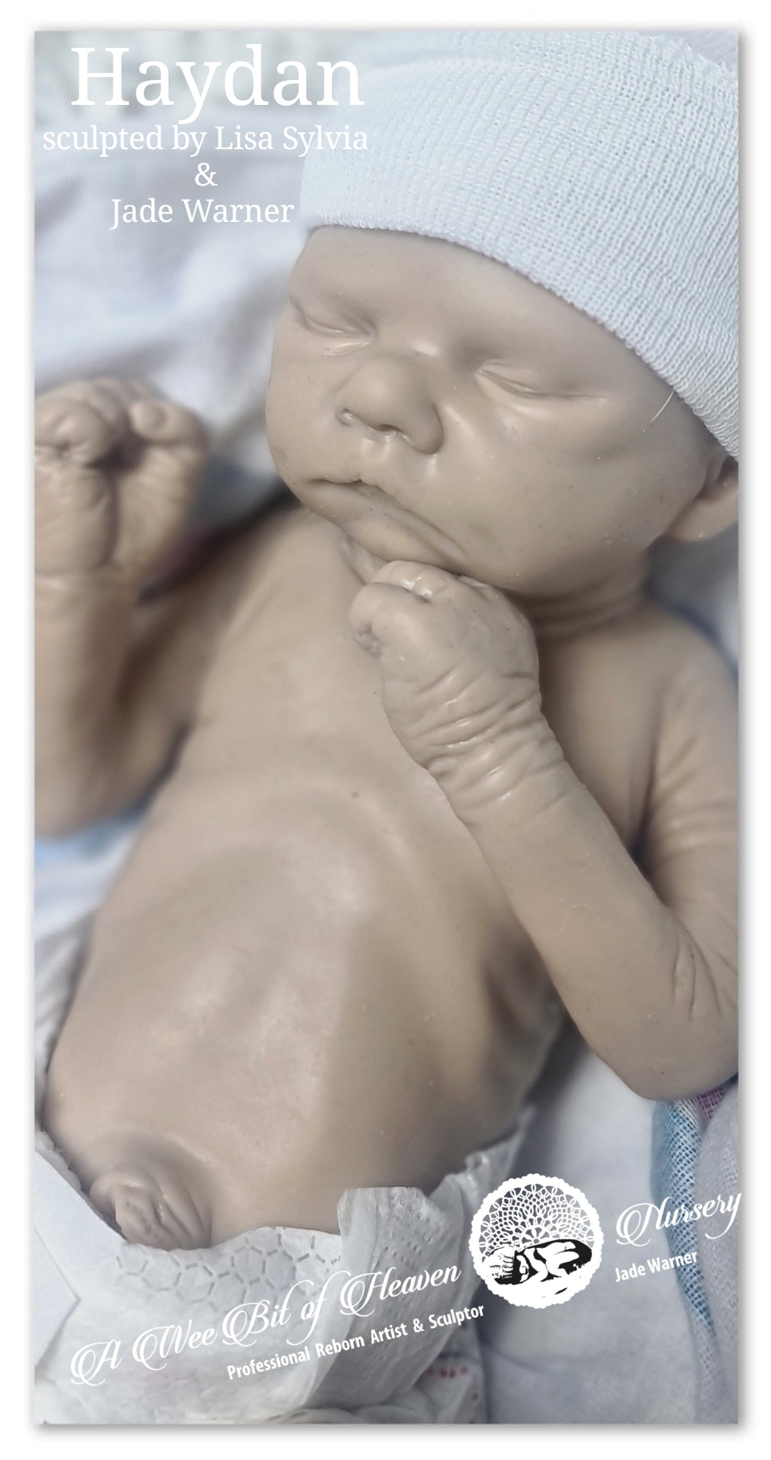 Haydan Full Body Silicone Baby by Lisa Sylvia & Jade Warner *DEPOSIT ONLY*