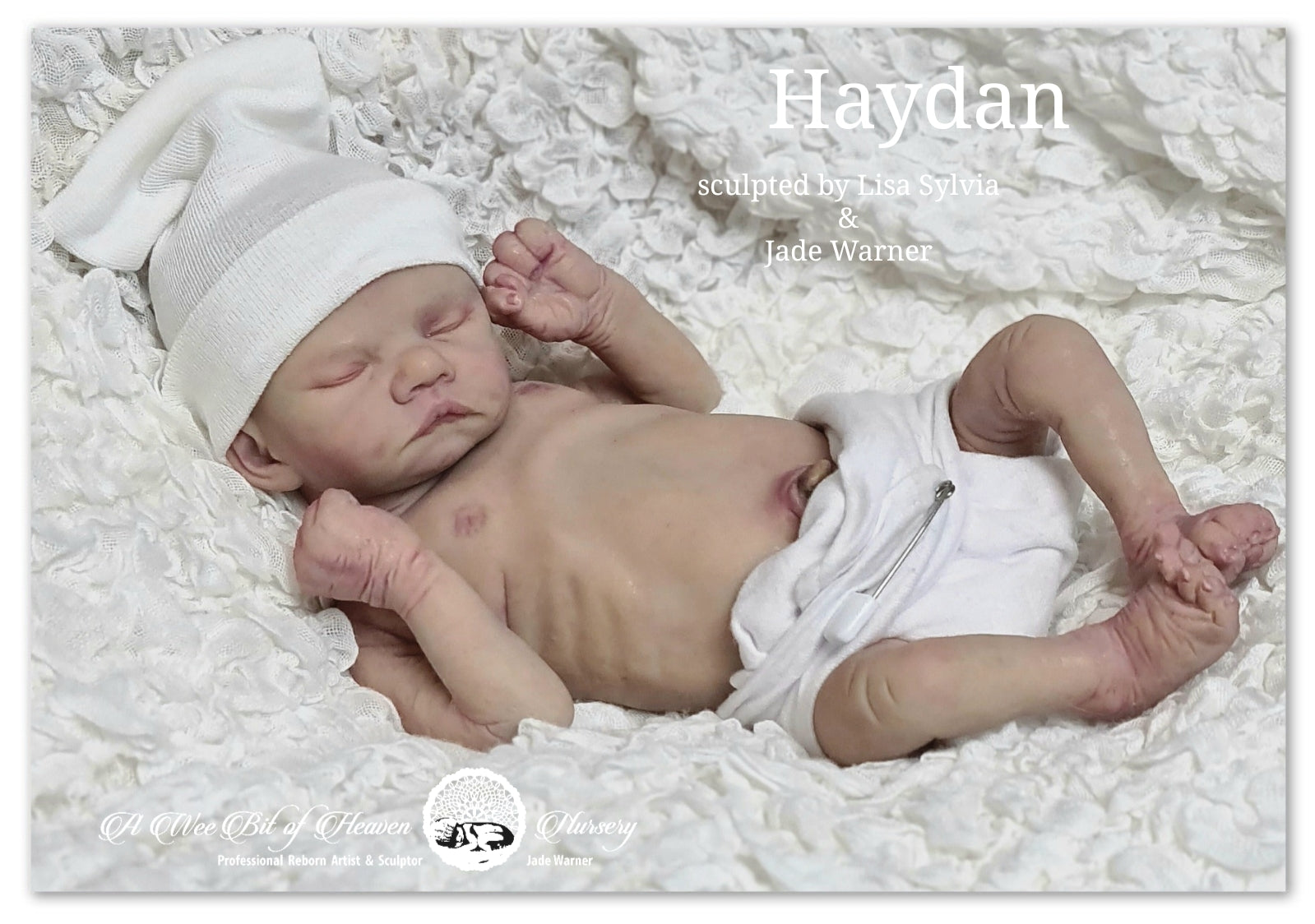 Haydan sculpted  by Lisa Sylvia & Jade Warner custom order