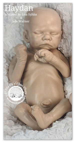 Haydan Full Body Silicone Baby by Lisa Sylvia & Jade Warner *DEPOSIT ONLY*