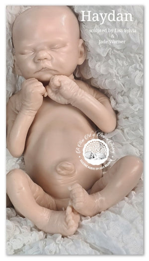 Haydan Full Body Silicone Baby by Lisa Sylvia & Jade Warner *DEPOSIT ONLY*