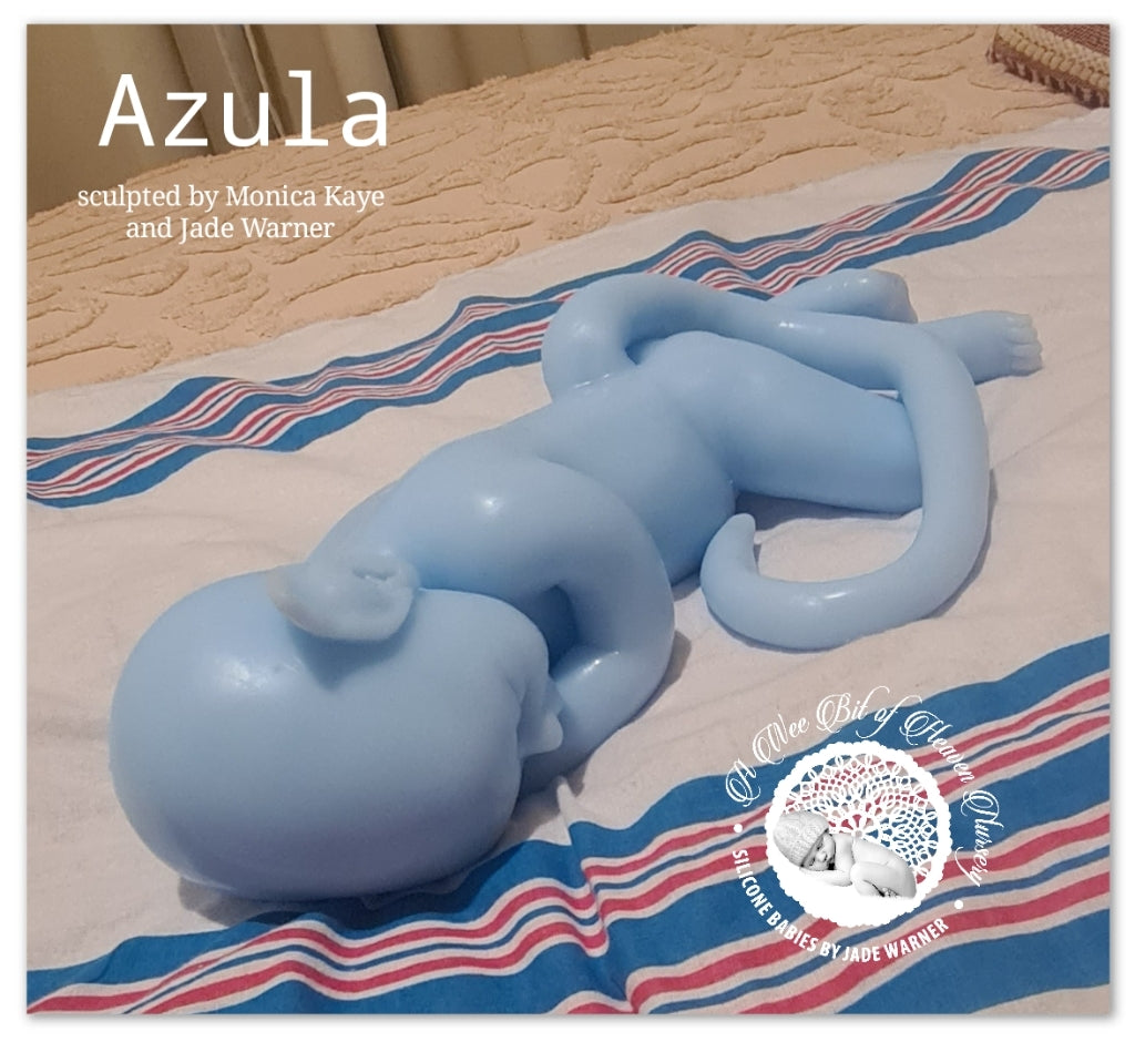Azula Full Body Silicone Baby girl *Deposit ONLY*